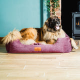 Baker & Bray The Ultimate - Rhubarb Red, Eco Orthopaedic Luxury Dog Bed, Baker & Bray, S/M (80cm)