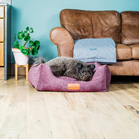 Baker & Bray The Ultimate - Rhubarb Red, Eco Orthopaedic Luxury Dog Bed, Baker & Bray, XS (60cm)