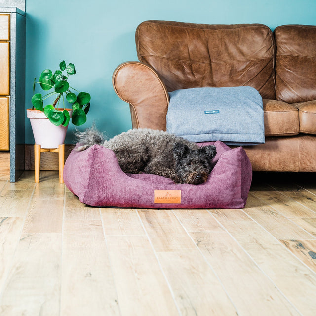 Baker & Bray The Ultimate - Rhubarb Red, Eco Orthopaedic Luxury Dog Bed, Baker & Bray, XS (60cm)