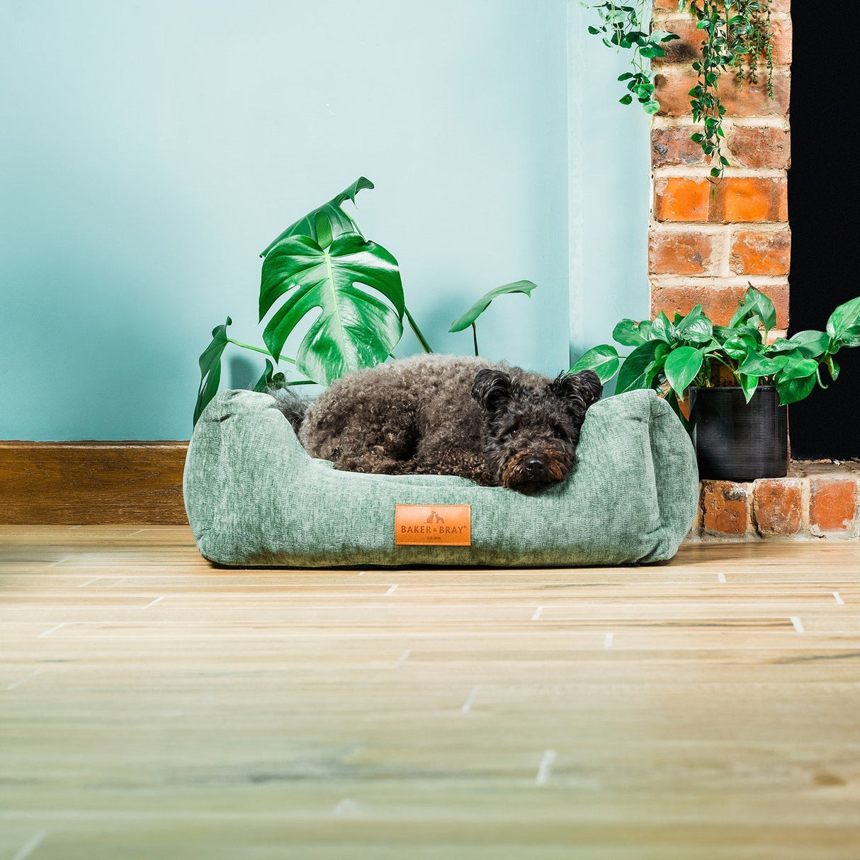 Baker & Bray The Ultimate - Sage Green, Eco Orthopaedic Luxury Dog Bed, Baker & Bray, L (100cm)