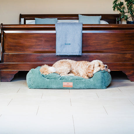 Baker & Bray The Ultimate - Sage Green, Eco Orthopaedic Luxury Dog Bed, Baker & Bray, L (100cm)