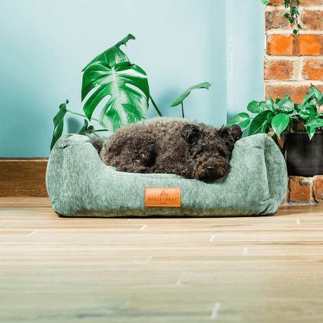 Baker & Bray The Ultimate - Sage Green, Eco Orthopaedic Luxury Dog Bed, Baker & Bray, XS (60cm)
