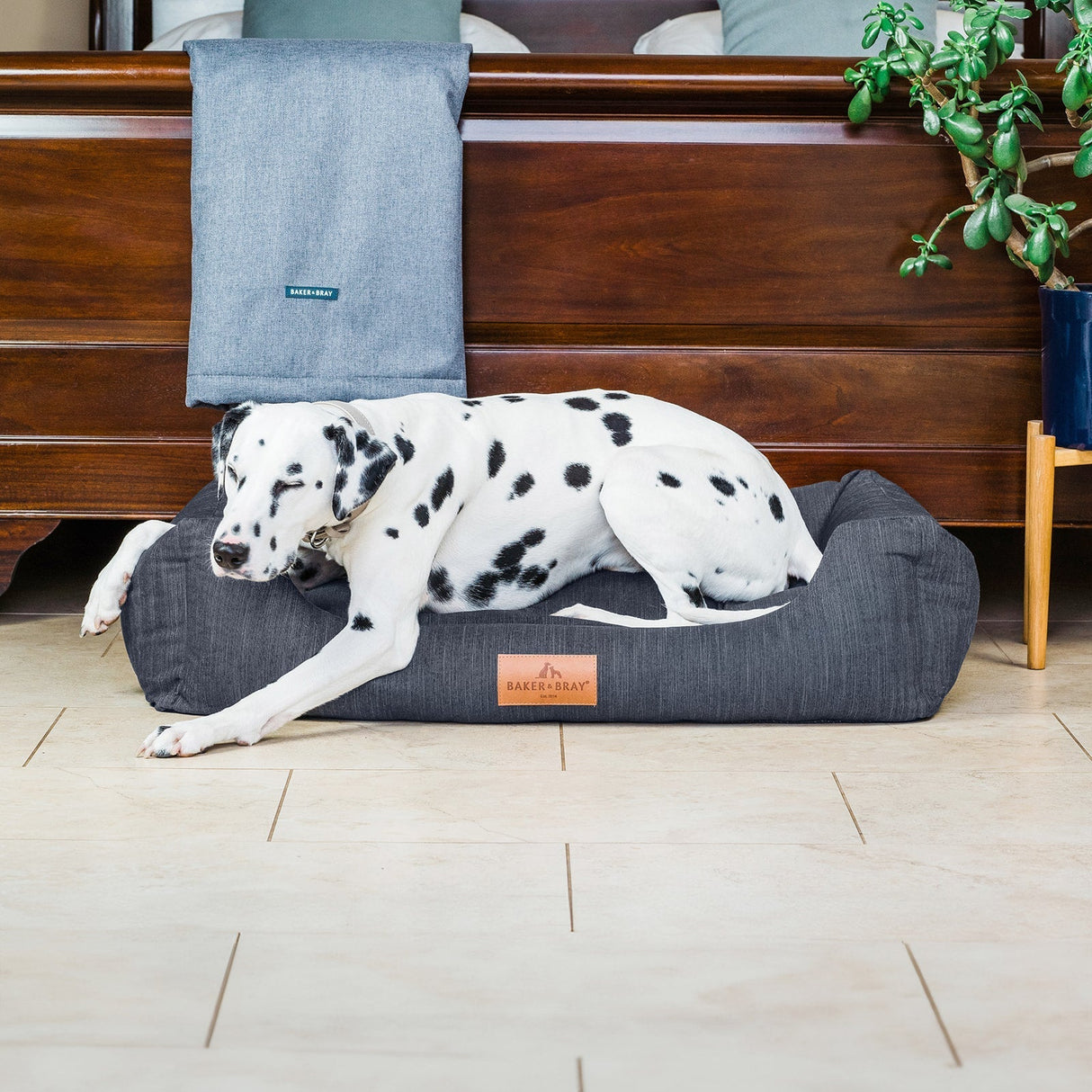 Baker & Bray The Ultimate - Slate Grey, Eco Orthopaedic Luxury Dog Bed, Baker & Bray, L (100cm)