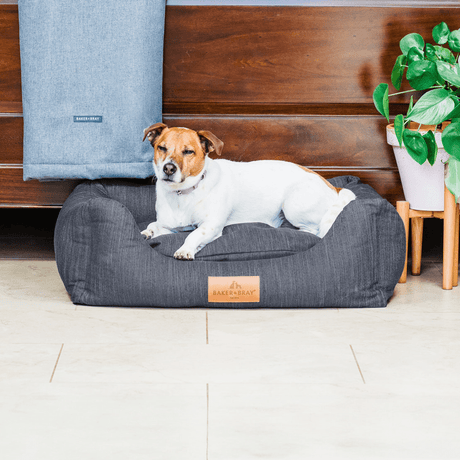 Baker & Bray The Ultimate - Slate Grey, Eco Orthopaedic Luxury Dog Bed, Baker & Bray, XS (60cm)