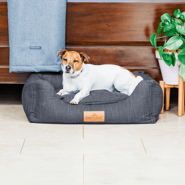 Baker & Bray The Ultimate - Slate Grey, Eco Orthopaedic Luxury Dog Bed, Baker & Bray, XS (60cm)