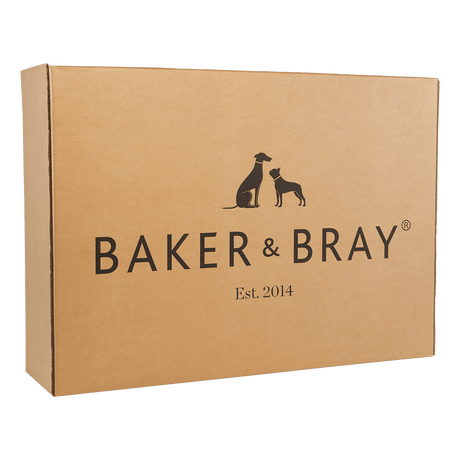 Baker & Bray The Ultimate - Teal Blue - Green, Eco Orthopaedic Luxury Dog Bed, Baker & Bray, L (100cm)