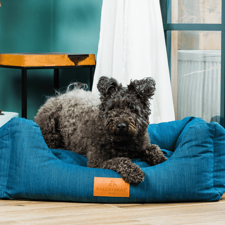 Baker & Bray The Ultimate - Teal Blue - Green, Eco Orthopaedic Luxury Dog Bed, Baker & Bray, XS (60cm)