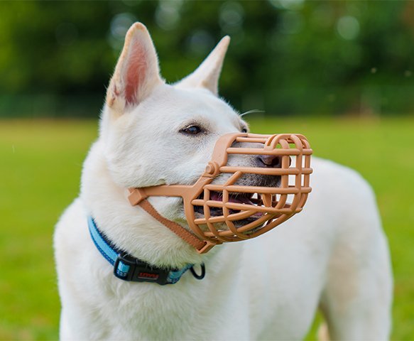 Baskerville Classic Basket Dog Muzzle, Companiy of Animals, Size 1