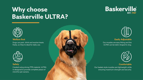 Baskerville Ultra Basket Dog Muzzle, Company of Animals, Size 1