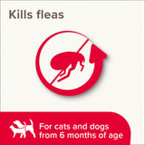 Beaphar Flea Spray for Cats & Dogs - 150ml x 6 Pack, Beaphar,