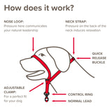 Beaphar Gentle Leader Black Head Collar for Medium Dogs, Beaphar,