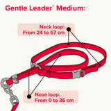 Beaphar Gentle Leader Black Head Collar for Medium Dogs, Beaphar,