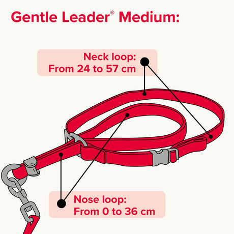 Beaphar Gentle Leader Black Head Collar for Medium Dogs, Beaphar,