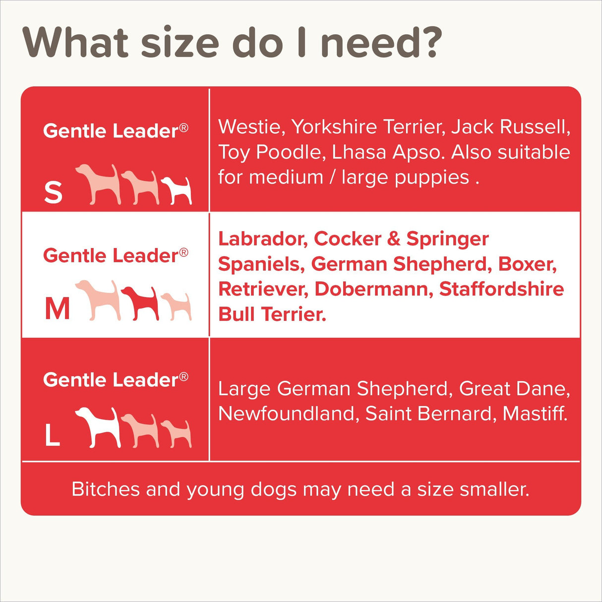 Beaphar Gentle Leader Black Head Collar for Medium Dogs, Beaphar,