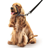 Beaphar Gentle Leader Black Head Collar for Medium Dogs, Beaphar,