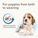 Beaphar Lactol Milk Replacer for Puppies, Beaphar, 2 kg