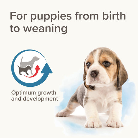 Beaphar Lactol Milk Replacer for Puppies, Beaphar, 2 kg