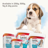 Beaphar Lactol Milk Replacer for Puppies, Beaphar, 2 kg