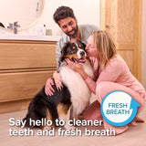 Beaphar Liver - Flavour Toothpaste with Enzymes for Cats and Dogs - 6 Tubes, Beaphar,