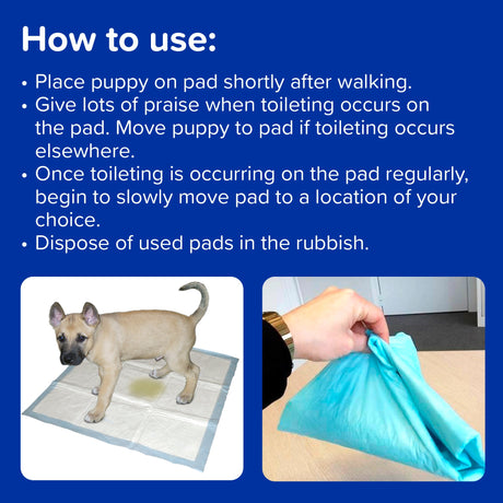 Beaphar Puppy Training Pads, Beaphar, 30 pads