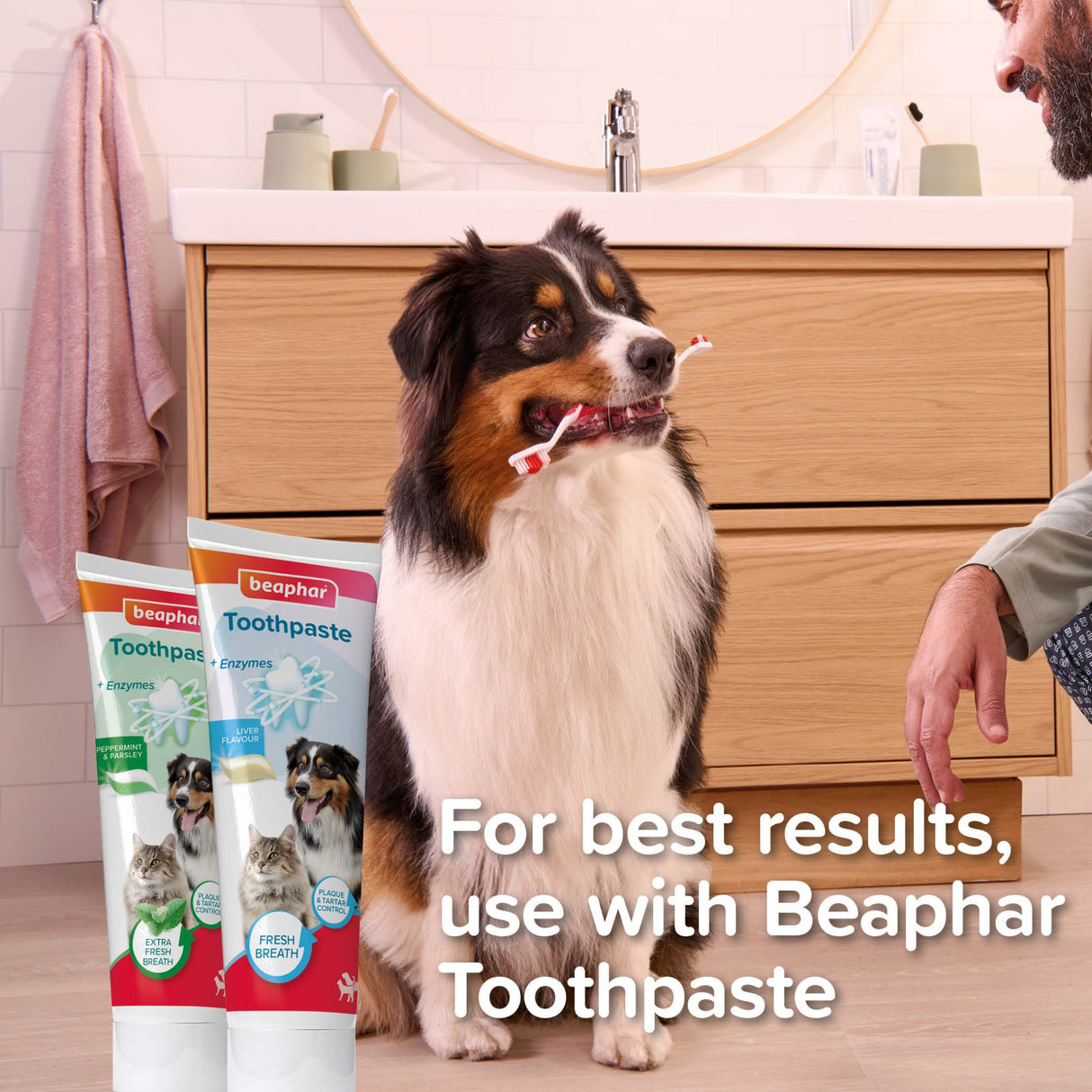 Beaphar Soft Finger Toothbrush for Dogs and Cats - 6 Pack, Beaphar,