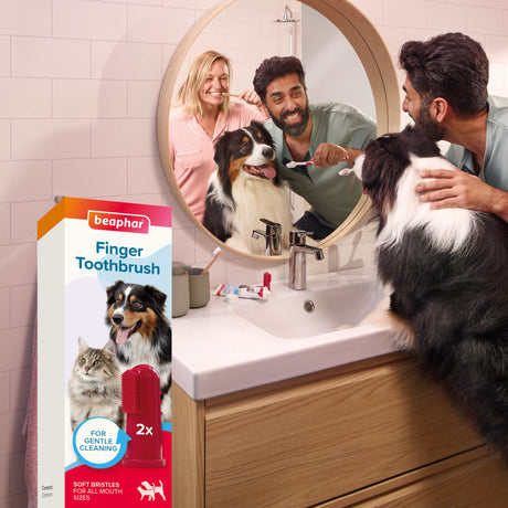 Beaphar Soft Finger Toothbrush for Dogs and Cats - 6 Pack, Beaphar,
