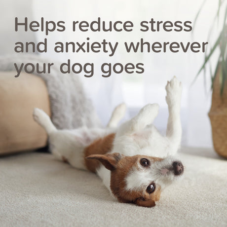 Beaphar StressLess Herbal Calming Tablets for Cats & Dogs - 20 Tablets x 6, Beaphar,