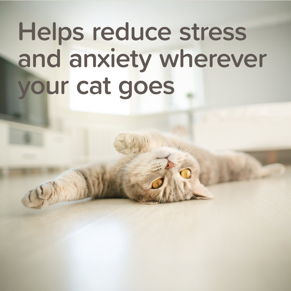 Beaphar StressLess Herbal Calming Tablets for Cats & Dogs - 20 Tablets x 6, Beaphar,