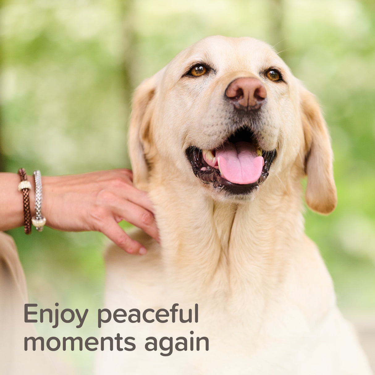 Beaphar StressLess Herbal Calming Tablets for Cats & Dogs - 20 Tablets x 6, Beaphar,