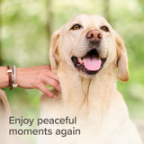 Beaphar StressLess Herbal Calming Tablets for Cats & Dogs - 20 Tablets x 6, Beaphar,