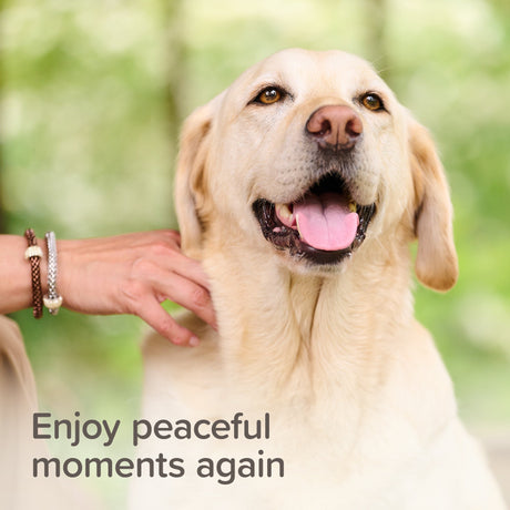 Beaphar StressLess Herbal Calming Tablets for Cats & Dogs - 20 Tablets x 6, Beaphar,