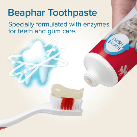 Beaphar Toothbrush & Toothpaste Kit for Cats & Dogs - 6 Pack, Beaphar,