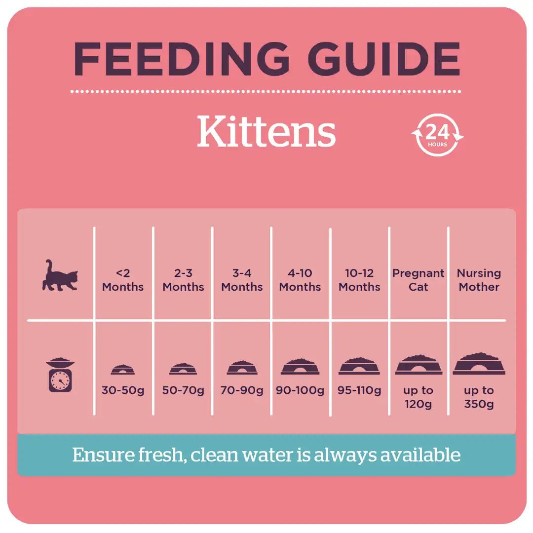 Burgess Kitten with Chicken Dry Food, Burgess, 1.5 kg