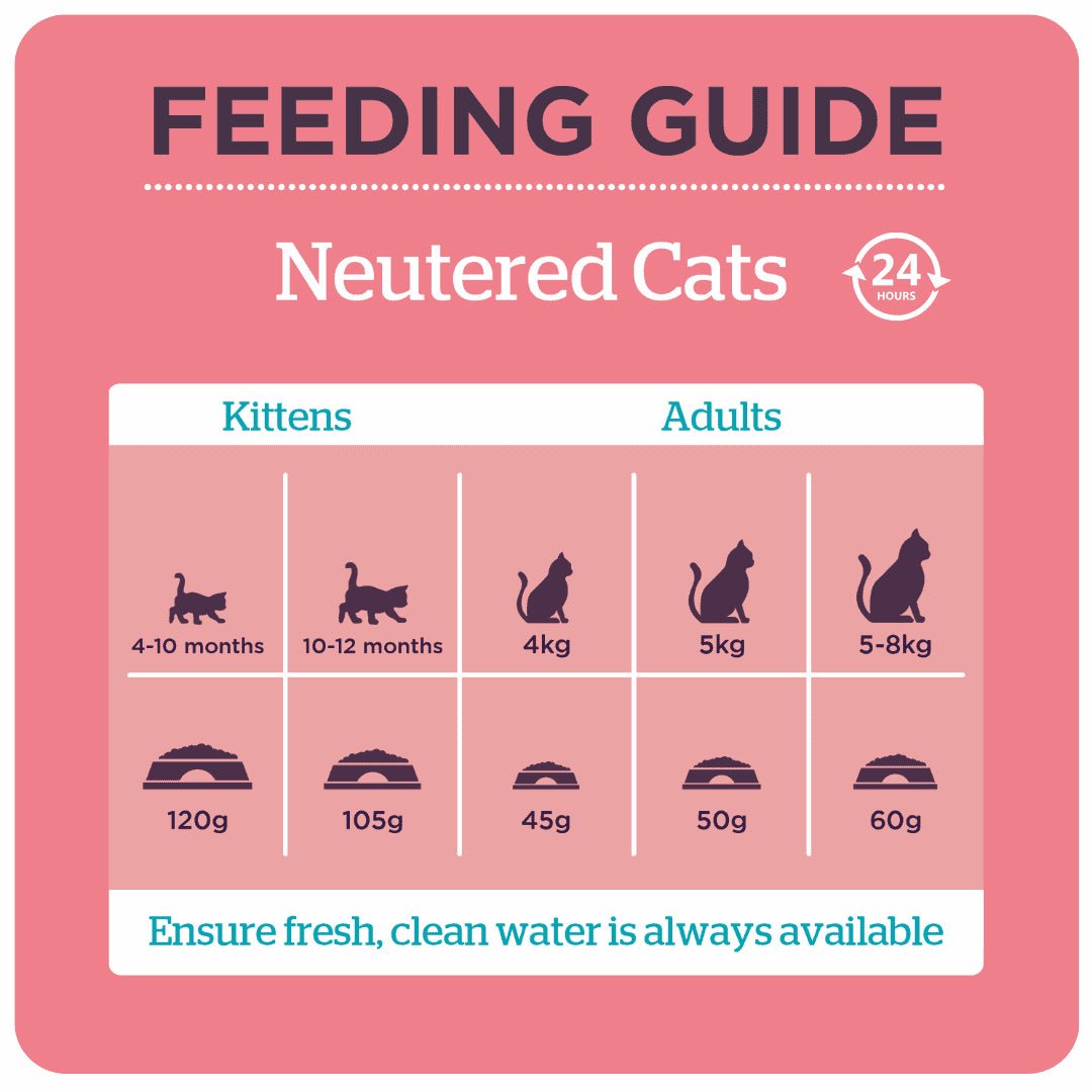Burgess Neutered Cat with Chicken Dry Food, Burgess, 10 kg