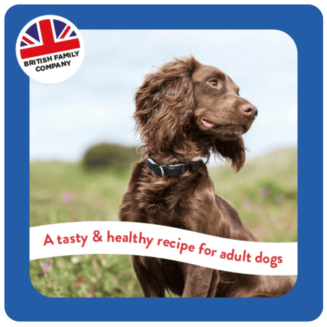 Burgess Supadog with Beef Adult Dry Dog Food - 12.5 kg, Burgess,