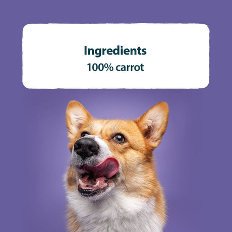 Burns 100% Carrot Bites Dog Treats 10x150g, Burns,