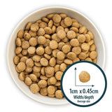 Burns Adult Small & Toy Breed Dog Food Chicken & Rice, Burns, 6 kg