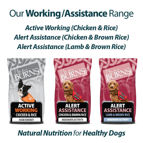 Burns Alert Assistance Dog Food Chicken & Brown Rice, Burns, 12 kg