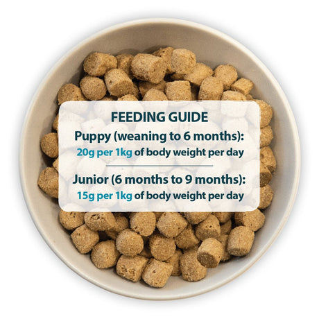 Burns Grain Free Duck & Potato Puppy Food, Burns, 6 kg