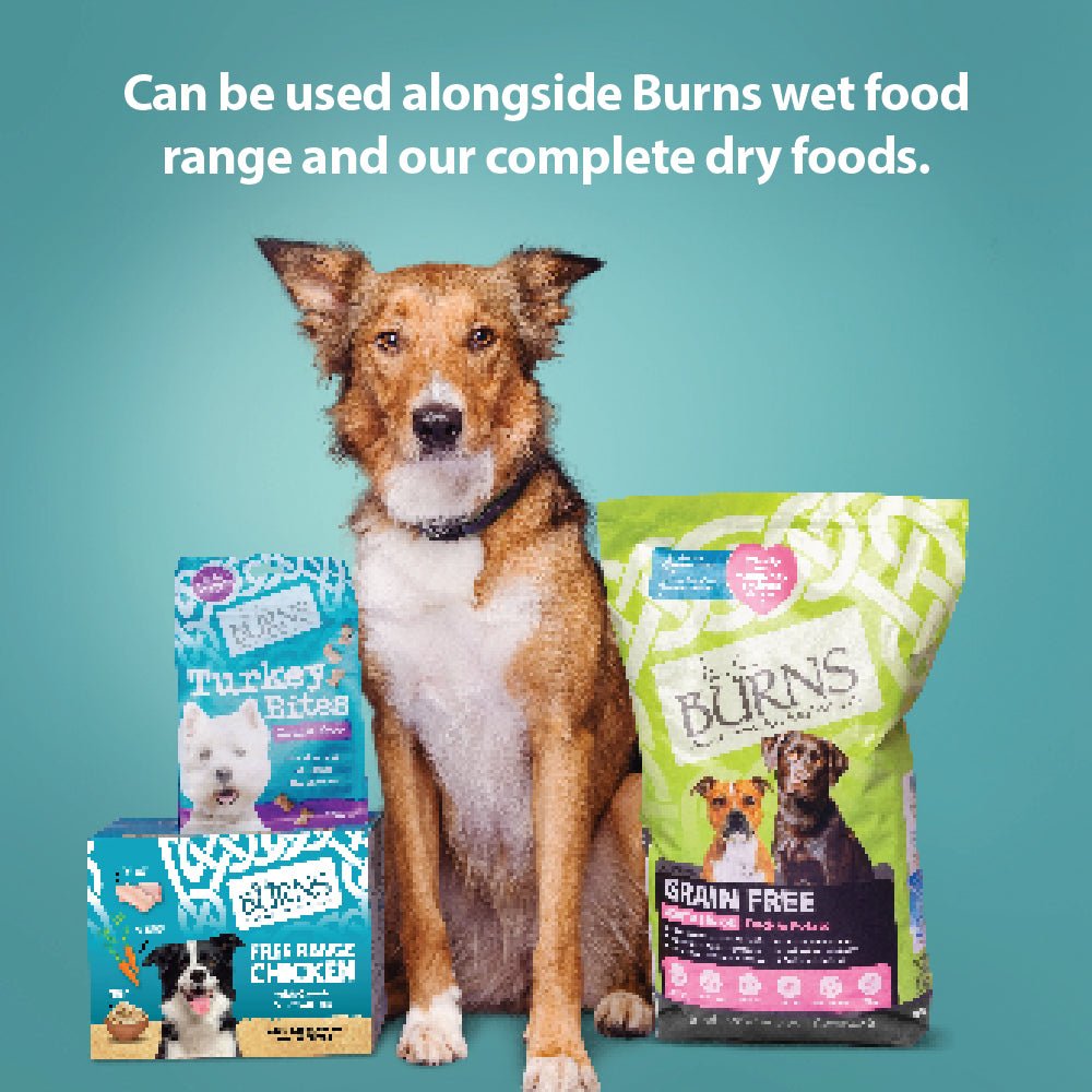 Burns Hypoallergenic Mixer Adult & Senior Dog Food 2 kg, Burns,