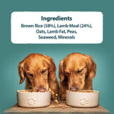 Burns Original Lamb & Brown Rice Adult & Senior Dog Food, Burns, 12 kg