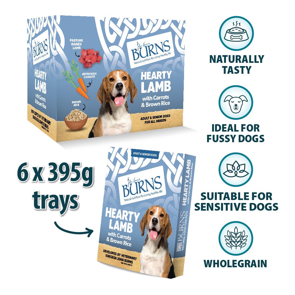 Burns Wet Dog Food Trays of Hearty Lamb with Carrots & Brown Rice, Burns, 6x395g