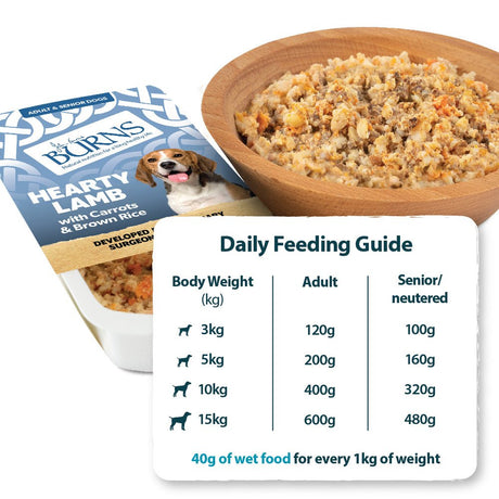 Burns Wet Dog Food Trays of Hearty Lamb with Carrots & Brown Rice, Burns, 6x395g