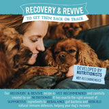 Butcher's Recovery & Revive Adult Wet Dog Food Tins, Butcher's, 12 x 390g