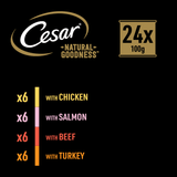 Cesar Natural Goodness Grain Free Variety Pack Wet Dog Food in Casserole Trays, Cesar, 24 x 100g