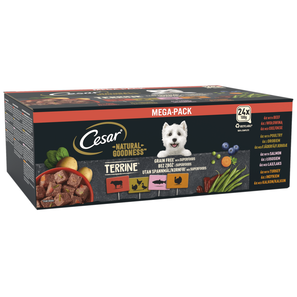 Cesar Natural Goodness Grain Free Variety Pack Wet Dog Food in Terrine Trays, Cesar, 24 x 100g