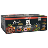 Cesar Natural Goodness Grain Free Variety Pack Wet Dog Food in Terrine Trays, Cesar, 24 x 100g