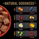 Cesar Natural Goodness Grain Free Variety Pack Wet Dog Food in Terrine Trays, Cesar, 24 x 100g