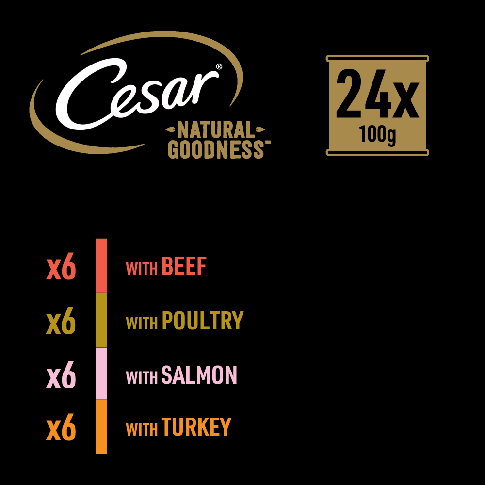 Cesar Natural Goodness Grain Free Variety Pack Wet Dog Food in Terrine Trays, Cesar, 24 x 100g