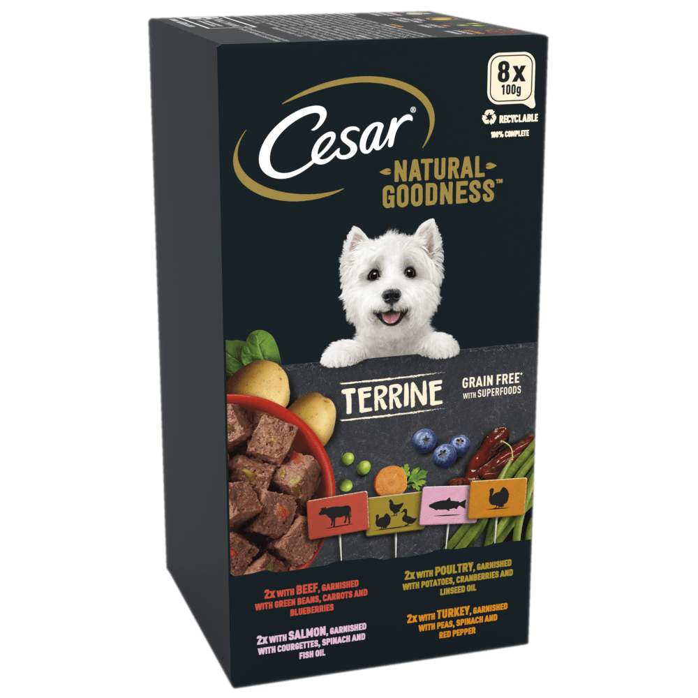 Cesar Natural Goodness Variety Trays in Terrine Wet Dog Food